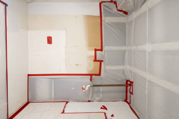 Chase, PA Mold Removal Company
